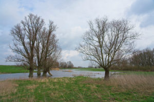 Floodplain