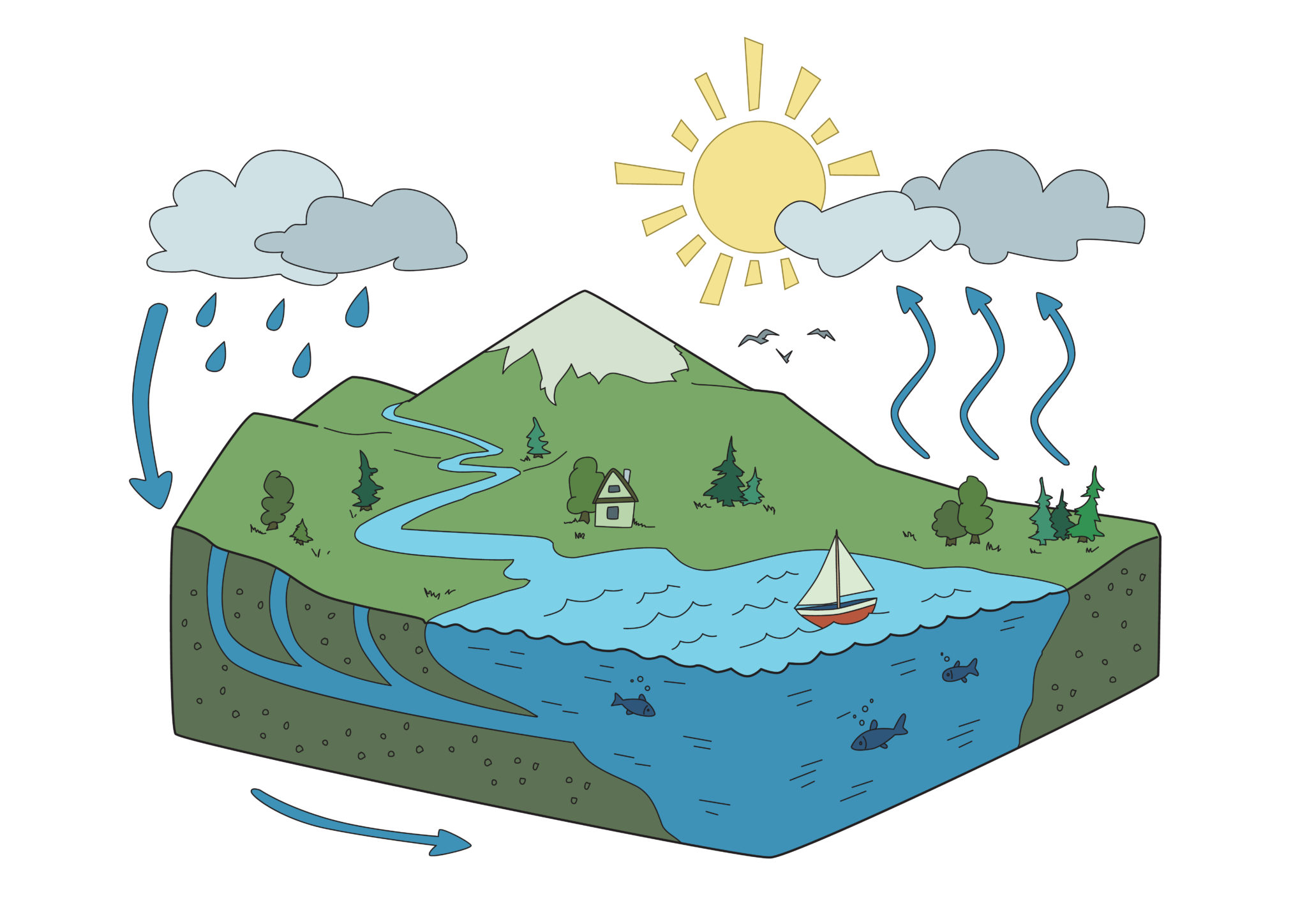 What Is Hydrology in Civil Engineering?