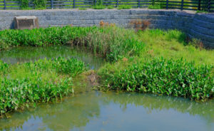 Stormwater Pond